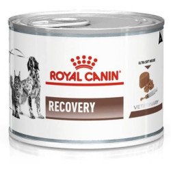 src:https://tropical-store.com/34410/royal-canin-recovery-cani-e-gatti-195gr.jpg