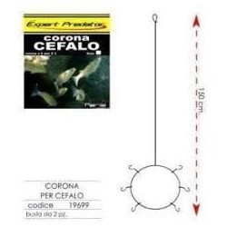 EXPERT CORONA CEFALO A 6 AMI 2PZ