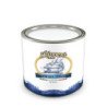 AEMME COLORI RESINA POLIESTERE + CATALIZZATORE 750 ML