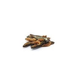 PRODAC TARTAFOOD FISH 200GR