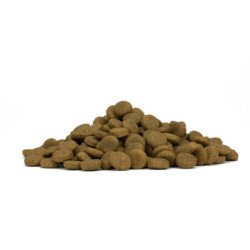 FORZA10 ALL SIZE ADULT LIGHT MAINTENANCE TONNO E RISO 1-70 KG