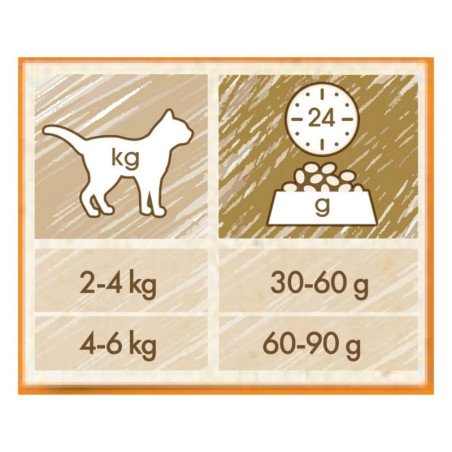 PURINA PRO PLAN GATTO SECCO CAT CHOW ADULT POLLO