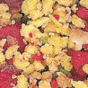 GRAN PASTO FRUTTAMIX MANGIME PER PAPPAGALLI 700GR