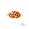 ROYAL CANIN KITTEN BUSTINA IN SALSA PER GATTO 85GR