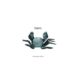 SPORT FISHING GRANCHIO IN GOMMA NERO L