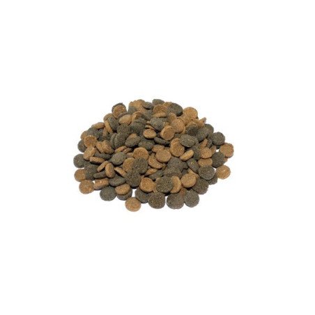 PRODAC WAFERS MIX PESCI TROPICALI 50GR