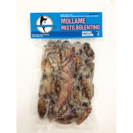 ESCA MOLLAME BOLENTINO TECNOESCA