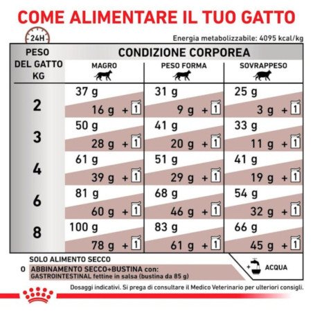 ROYAL CANIN GATTO GASTROINTESTINAL