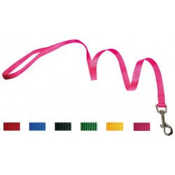 GUINZAGLIO IN NYLON DA 25mm