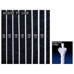 SHOUT ASSIST PE LINE 89-AP