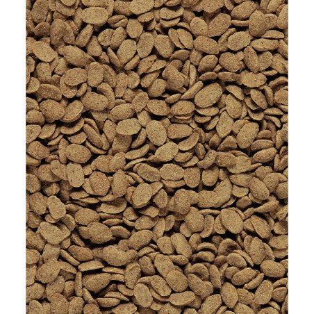 VERSELE LAGA NUTRIBIRD ESTRUSO P15 ORIGINAL 10KG