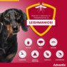 ELANCO ADVANTIX DA 4KG A 10KG ANTIPARASSITARIO PER CANI