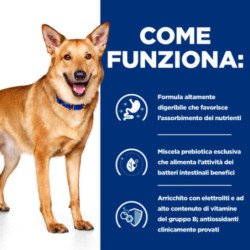HILL'S CANE I/D DIGESTIVE CARE AL POLLO 1,5KG