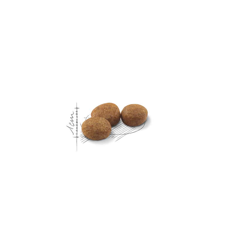 ROYAL CANIN REGULAR STERILISED
