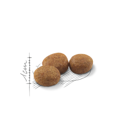 ROYAL CANIN REGULAR STERILISED