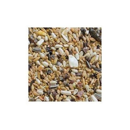 MANITOBA BIG PARAKEETS ENERGY 2KG