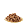 ROYAL CANIN PUPPY MINI 85GR