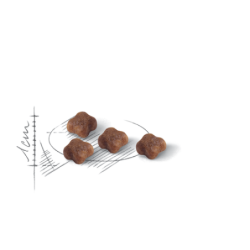 ROYAL CANIN BABYCAT CROCCHETTE GATTE O GATTINI