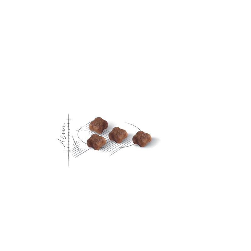 ROYAL CANIN BABYCAT CROCCHETTE GATTE O GATTINI