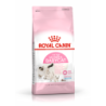ROYAL CANIN BABYCAT CROCCHETTE GATTE O GATTINI