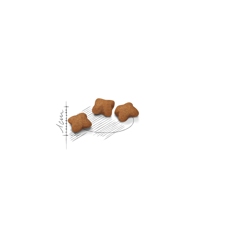 ROYAL CANIN KITTEN STERILISED CROCCHETTE GATTINI