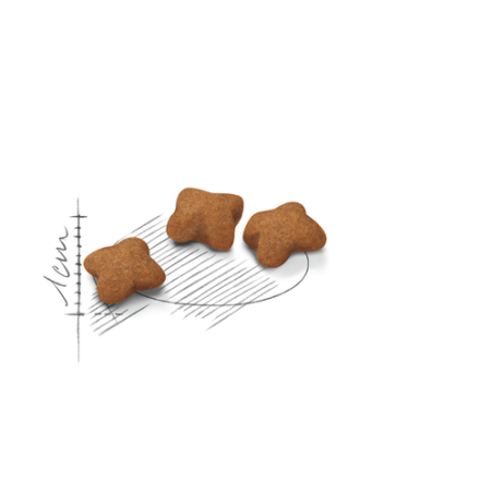 ROYAL CANIN KITTEN STERILISED CROCCHETTE GATTINI