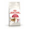 ROYAL CANIN GATTO CROCCANTINI REGULAR FIT 32