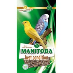 MANITOBA BEST CONDITION 2.5KG