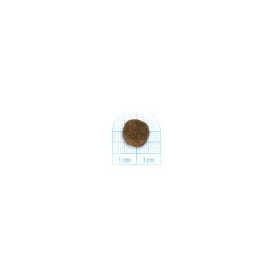 FORZA10 MEDIUM MAXI PUPPY MAINTENANCE POLLO PATATE 2-12 MESI