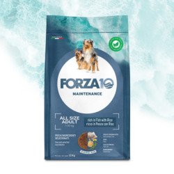 FORZA10 ALL SIZE ADULT MAINTENANCE PESCE E RISO 1-70 KG