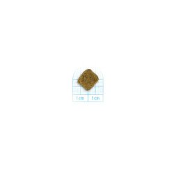 FORZA10 ALL SIZE ADULT MONODIET VEGETAL 1-70KG