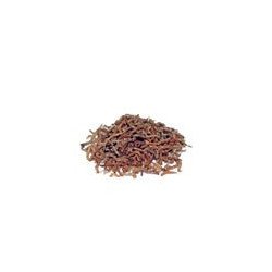 PRODAC BLOODWORMS CHIRONOMUS