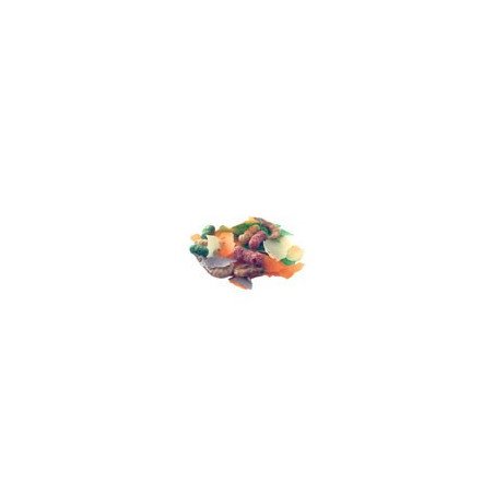 PRODAC PONDFOOD MIX MANGIME PER PESCI DA LAGHETTO
