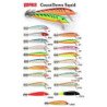 RAPALA COUNTDOWN TOTANARE 110MM SQUID CALAMARI