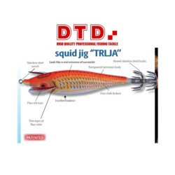 DTD TOTANARE 2.0 TRIGLIA TRLJA