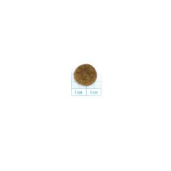 FORZA10 ALL SIZE ADULT MAINTENANCE MAIALE 1-70 KG
