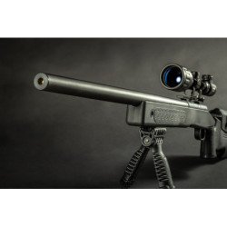 EVOLUTION FUCILE M40
