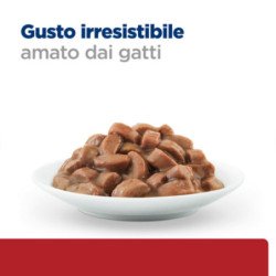 HILL'S GATTO UMIDO DIGESTIVE CARE I/D SALMONE 85GR