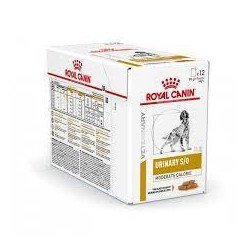 ROYAL CANIN URINARY DOG S/O 100GR