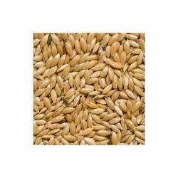 MANITOBA SCAGLIOLA SEED ONE BLUE 5KG