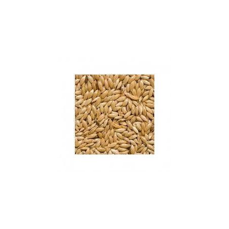 MANITOBA SCAGLIOLA SEED ONE BLUE 5KG