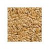 MANITOBA SCAGLIOLA SEED ONE BLUE 5KG