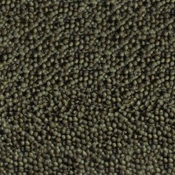 SERA GOLDY COLOR SPIRULINA NATURE PER PESCI ROSSI