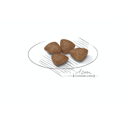 ROYAL CANIN MINI STARTER MOTHER E BABYDOG 1KG