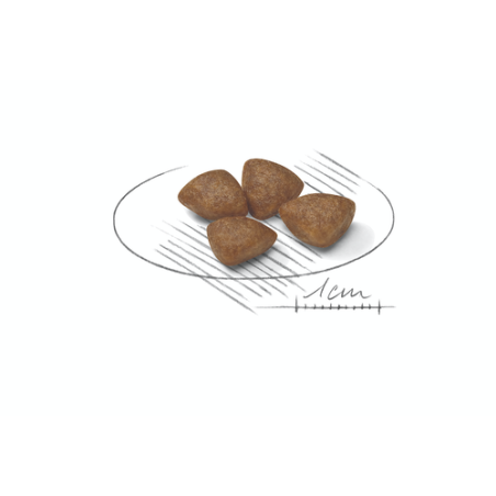 ROYAL CANIN MINI STARTER MOTHER E BABYDOG 1KG