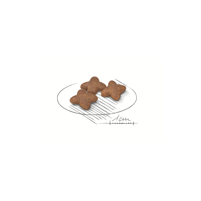 ROYAL CANIN MINI ADULT