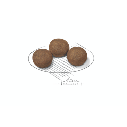 ROYAL CANIN MEDIUM PUPPY