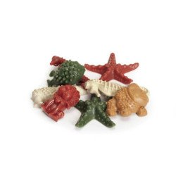 CAMON DENTAL SNACK 100% VEGETAL GUSTO PAPAYA-COCCO-AFFUMICATO-MENTA