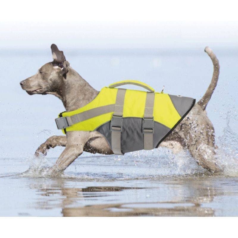 CAMON GIUBOTTO DA SALVATAGGIO PER CANI