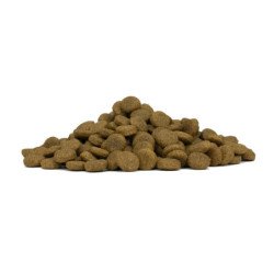 FORZA10 MEDIUM ADULT MAINTENANCE PESCE 11-35KG